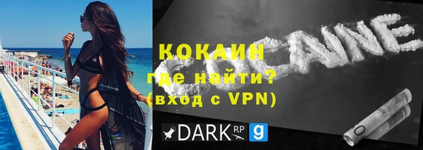гидра Арсеньев