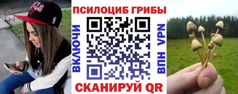 omg tor  Собинка  Галлюциногенные грибы прущие грибы  наркотики 